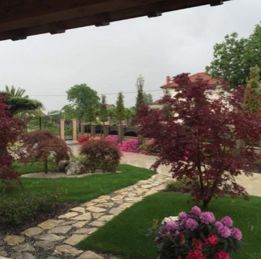 Decorative Trees from Simoni Group
